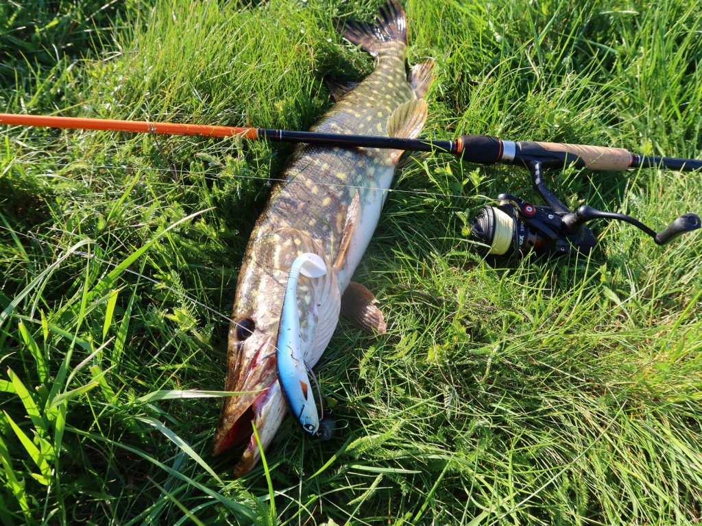 Щука клюнула на светлый виброхвост