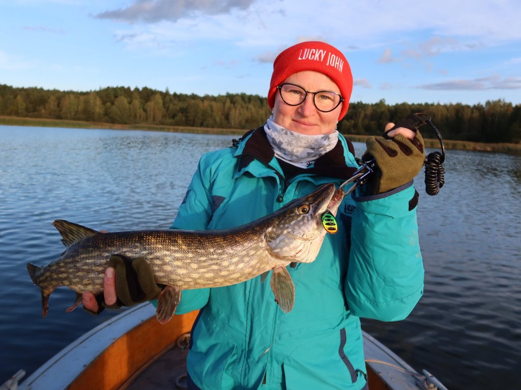 Щука клюнула на яркую вертушку