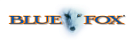 BLUE FOX BLUE FOX